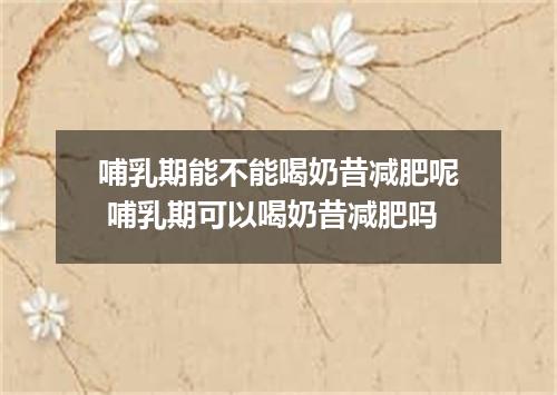 哺乳期能不能喝奶昔减肥呢 哺乳期可以喝奶昔减肥吗