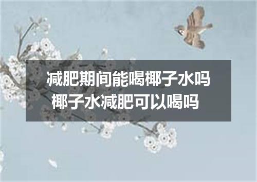 减肥期间能喝椰子水吗 椰子水减肥可以喝吗