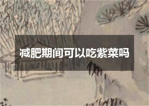 减肥期间可以吃紫菜吗