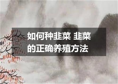 如何种韭菜 韭菜的正确养殖方法