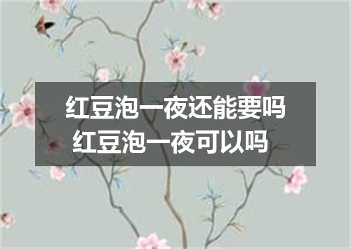 红豆泡一夜还能要吗 红豆泡一夜可以吗