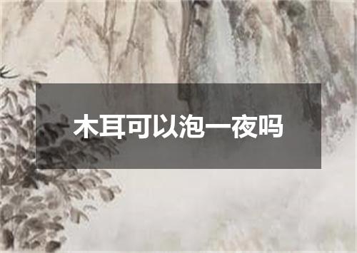 木耳可以泡一夜吗