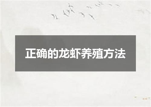 正确的龙虾养殖方法