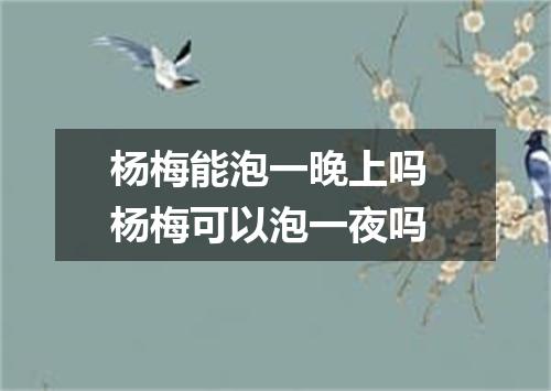 杨梅能泡一晚上吗 杨梅可以泡一夜吗