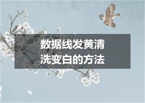 数据线发黄清洗变白的方法