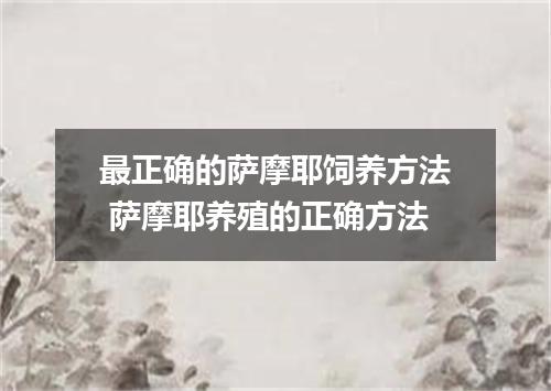 最正确的萨摩耶饲养方法 萨摩耶养殖的正确方法