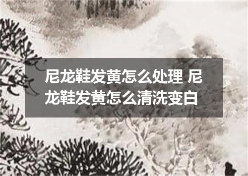 尼龙鞋发黄怎么处理 尼龙鞋发黄怎么清洗变白