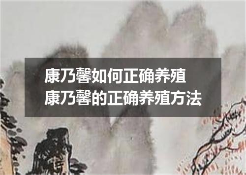 康乃馨如何正确养殖 康乃馨的正确养殖方法