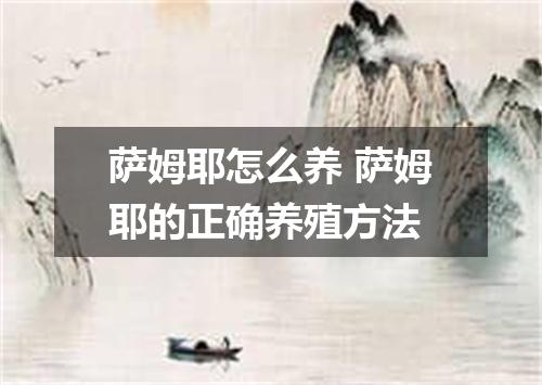 萨姆耶怎么养 萨姆耶的正确养殖方法