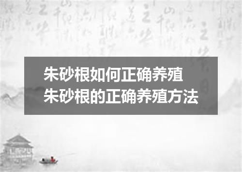 朱砂根如何正确养殖 朱砂根的正确养殖方法