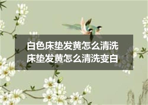 白色床垫发黄怎么清洗 床垫发黄怎么清洗变白