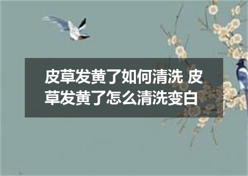 皮草发黄了如何清洗 皮草发黄了怎么清洗变白