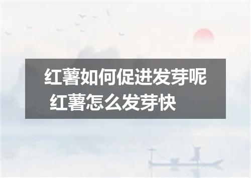 红薯如何促进发芽呢 红薯怎么发芽快