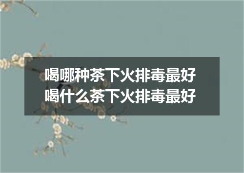 喝哪种茶下火排毒最好 喝什么茶下火排毒最好