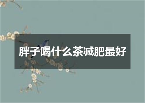 胖子喝什么茶减肥最好