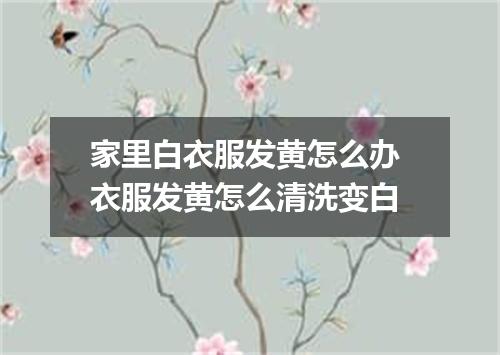 家里白衣服发黄怎么办 衣服发黄怎么清洗变白
