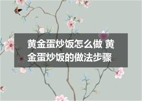 黄金蛋炒饭怎么做 黄金蛋炒饭的做法步骤