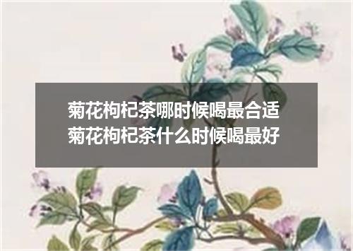 菊花枸杞茶哪时候喝最合适 菊花枸杞茶什么时候喝最好