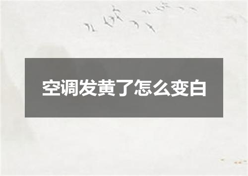 空调发黄了怎么变白