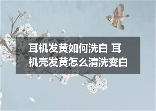 耳机发黄如何洗白 耳机壳发黄怎么清洗变白