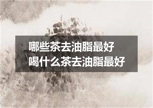 哪些茶去油脂最好 喝什么茶去油脂最好