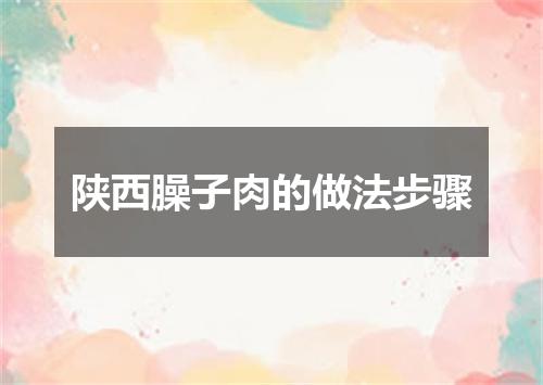 陕西臊子肉的做法步骤
