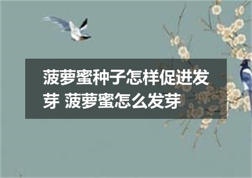 菠萝蜜种子怎样促进发芽 菠萝蜜怎么发芽