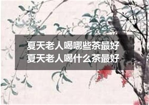 夏天老人喝哪些茶最好 夏天老人喝什么茶最好