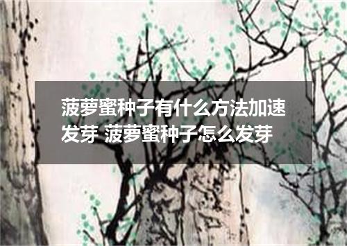 菠萝蜜种子有什么方法加速发芽 菠萝蜜种子怎么发芽