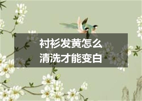 衬衫发黄怎么清洗才能变白