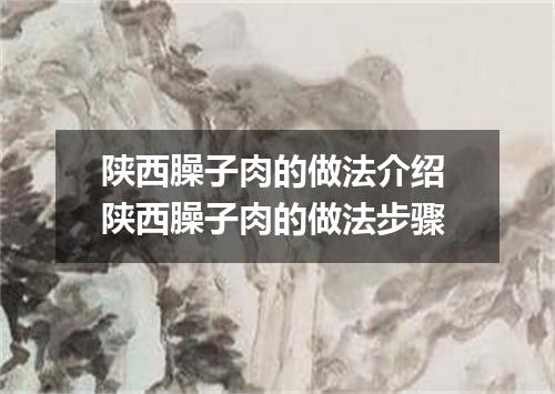 陕西臊子肉的做法介绍 陕西臊子肉的做法步骤