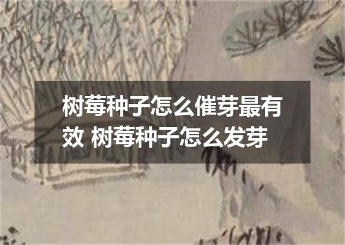 树莓种子怎么催芽最有效 树莓种子怎么发芽