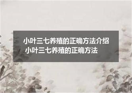 小叶三七养殖的正确方法介绍 小叶三七养殖的正确方法