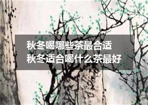 秋冬喝哪些茶最合适 秋冬适合喝什么茶最好