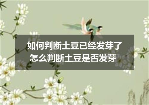 如何判断土豆已经发芽了 怎么判断土豆是否发芽