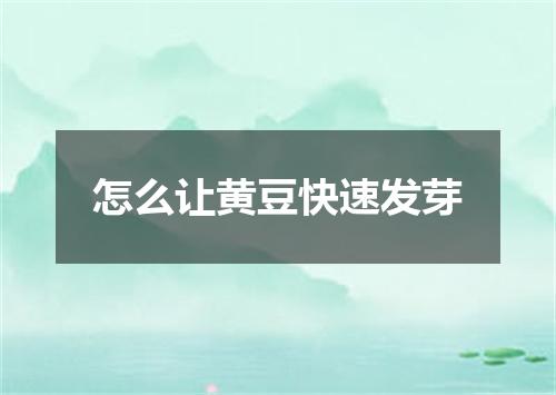 怎么让黄豆快速发芽