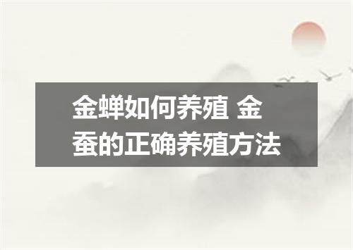 金蝉如何养殖 金蚕的正确养殖方法