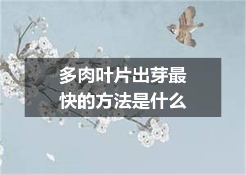 多肉叶片出芽最快的方法是什么