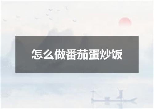 怎么做番茄蛋炒饭