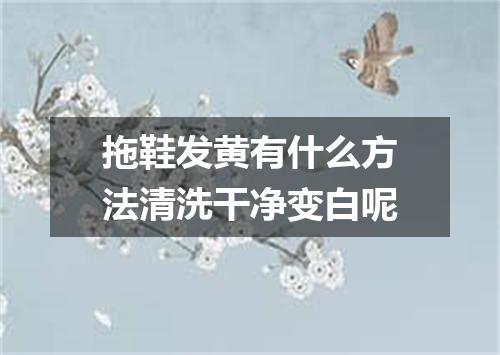 拖鞋发黄有什么方法清洗干净变白呢