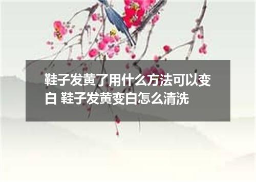 鞋子发黄了用什么方法可以变白 鞋子发黄变白怎么清洗