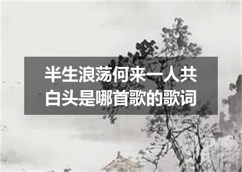 半生浪荡何来一人共白头是哪首歌的歌词