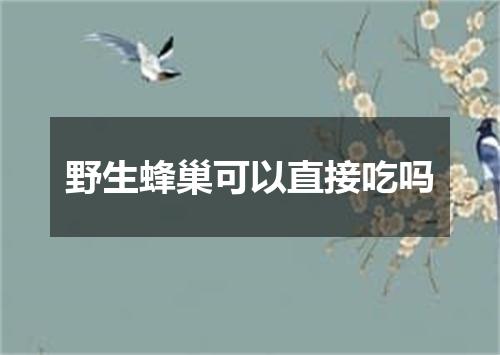 野生蜂巢可以直接吃吗