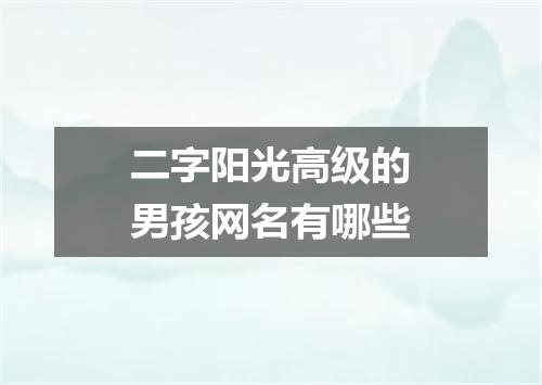 二字阳光高级的男孩网名有哪些