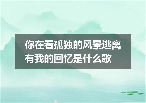 你在看孤独的风景逃离有我的回忆是什么歌