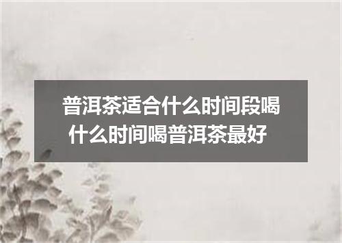 普洱茶适合什么时间段喝 什么时间喝普洱茶最好