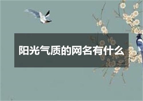 阳光气质的网名有什么