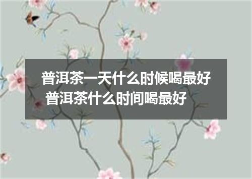 普洱茶一天什么时候喝最好 普洱茶什么时间喝最好
