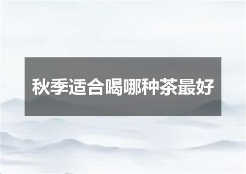 秋季适合喝哪种茶最好