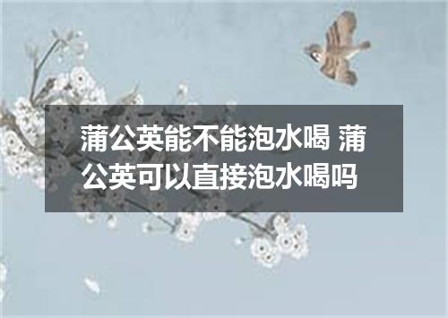 蒲公英能不能泡水喝 蒲公英可以直接泡水喝吗